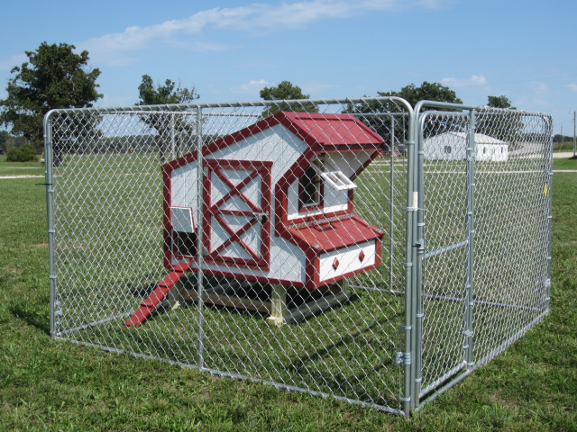 Shown in a 10x10 Dog Kennel
